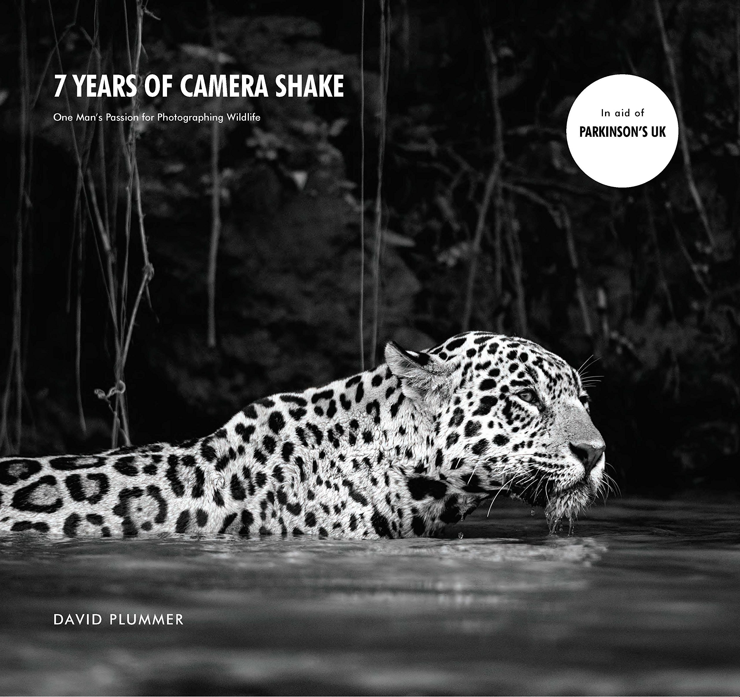 7 Years of Camera Shake | David Plummer