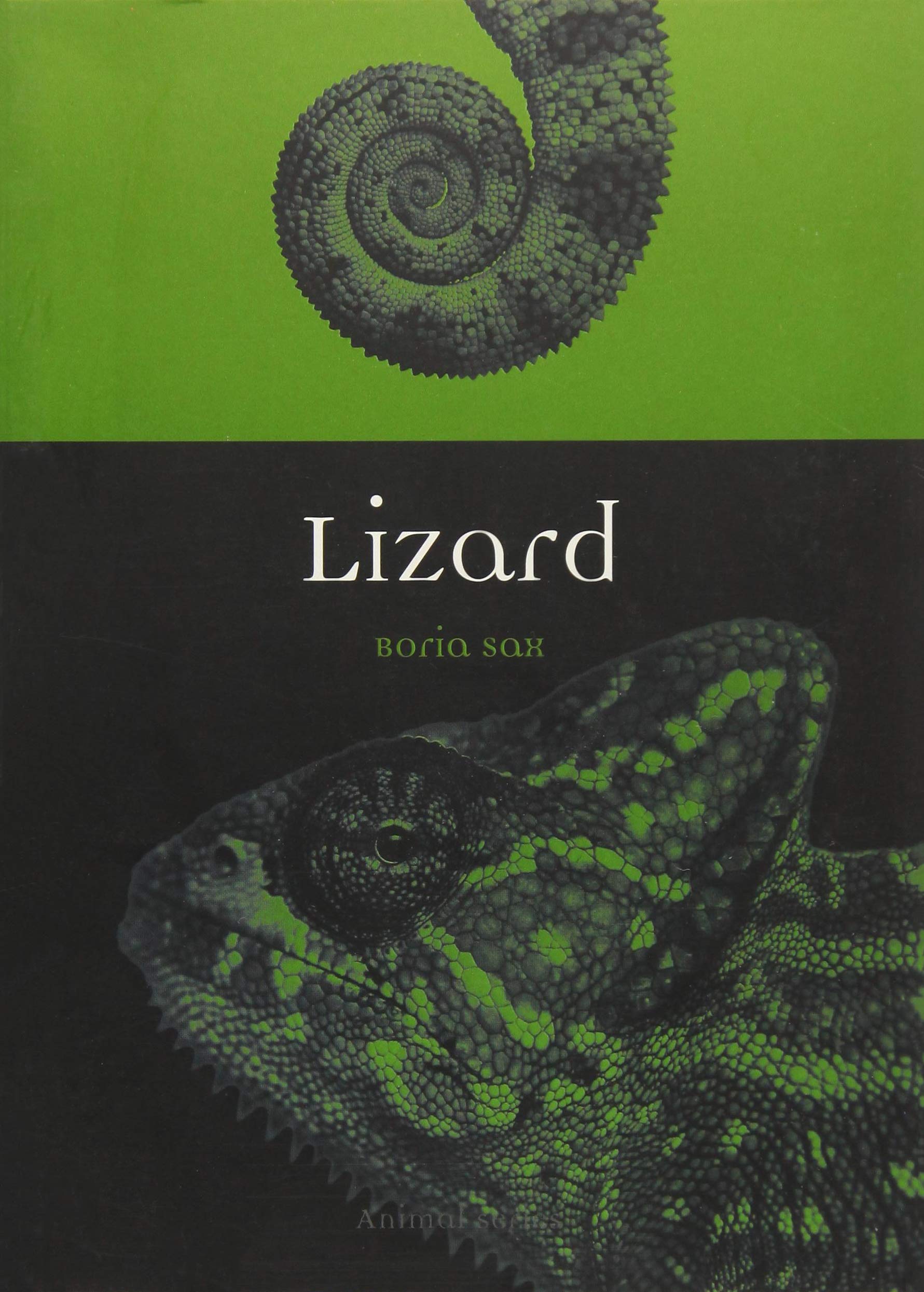Lizard | Boria Sax