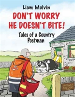 Don\'t Worry He Doesn\'t Bite | Liam Mulvin