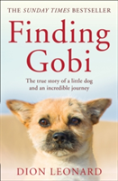 Finding Gobi (Main edition) | Dion Leonard