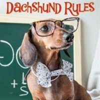 Dachshund Rules | Willow Creek Press