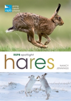 RSPB Spotlight Hares | Nancy Jennings