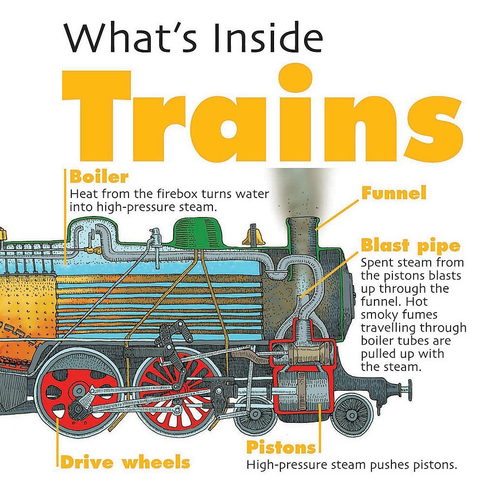 What\'s Inside?: Trains | David West