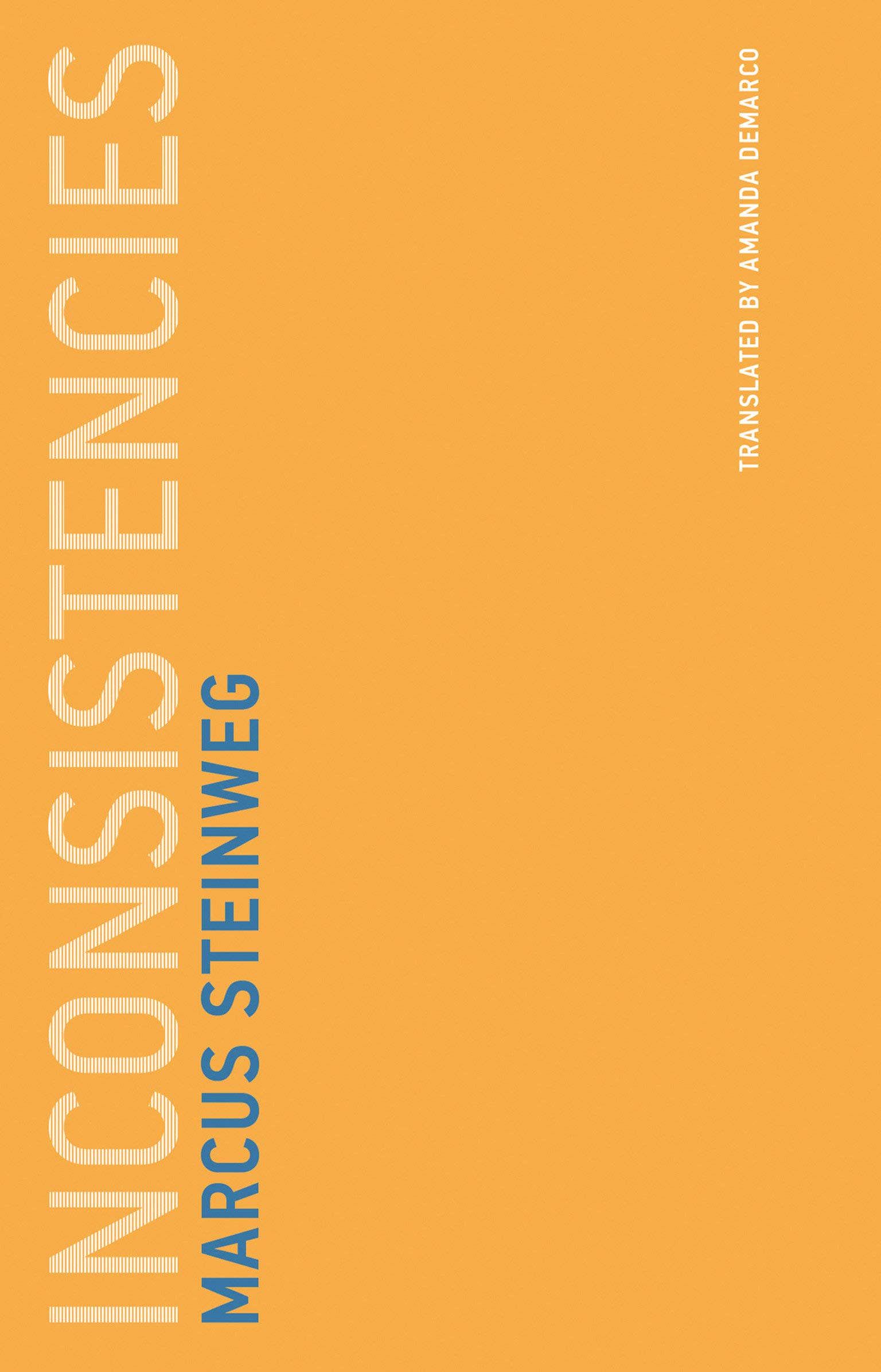 Inconsistencies | Marcus Steinweg image2