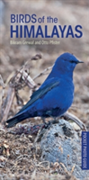 Birds of the Himalayas | Bikram Grewal