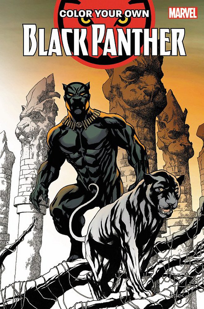 Color Your Own Black Panther | Brian Stelfreeze, Chris Sprouse, Jack Kirby
