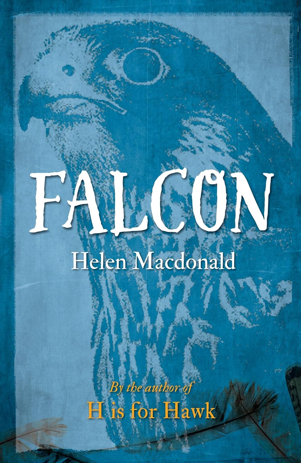 Falcon | Helen Macdonald