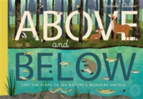 Above and Below | Patricia Hegarty