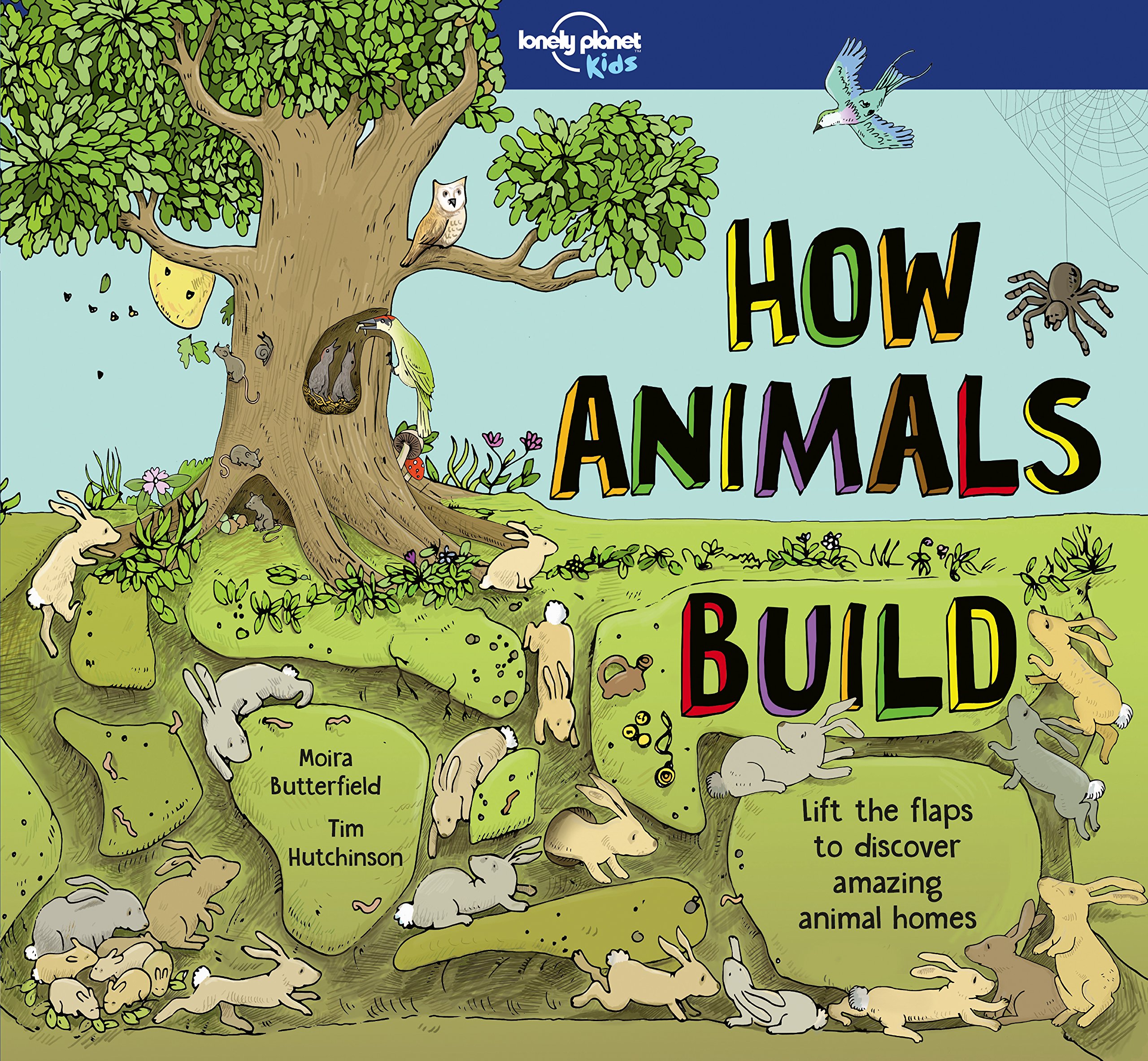 How Animals Build | Lonely Planet Kids