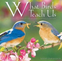 What Birds Teach Us | Willow Creek Press