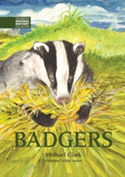 Badgers | Michael Clark