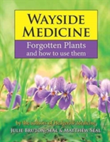 Wayside Medicine: Forgotten Plants to Make Your Own Herbal Remedies | Julie Bruton-Seal, Matthew Seal