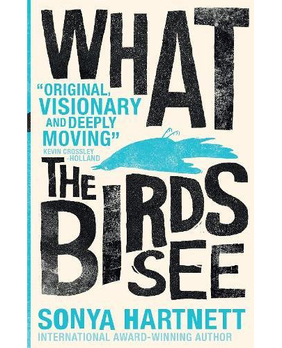 What the Birds See | Sonya Hartnett