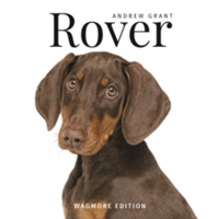 Rover | Andrew Grant