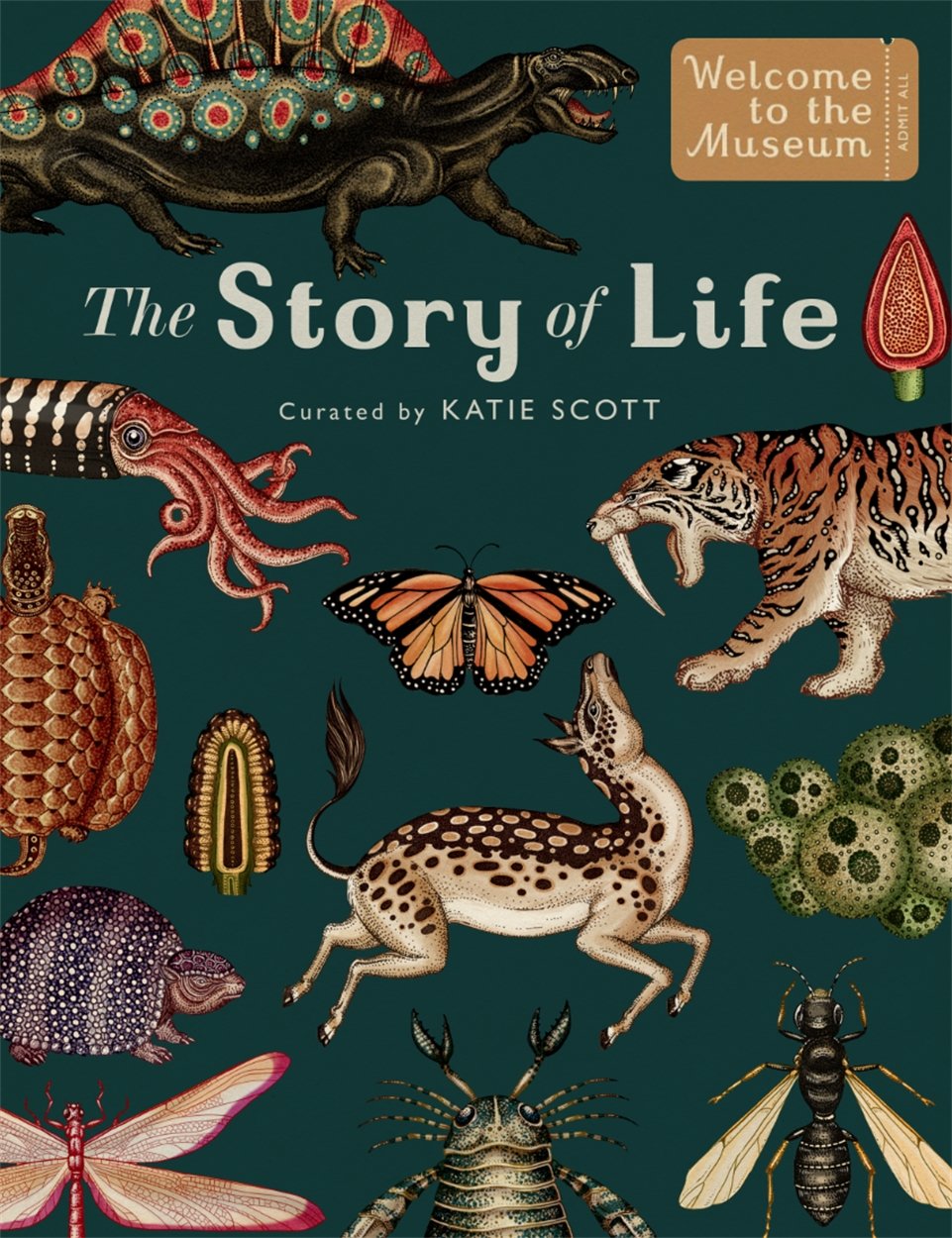 The Story of Life: Evolution (Extended Edition) | Ruth Symons