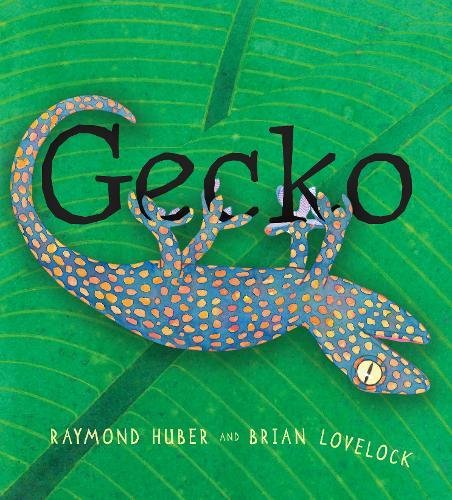 Gecko | Raymond Huber