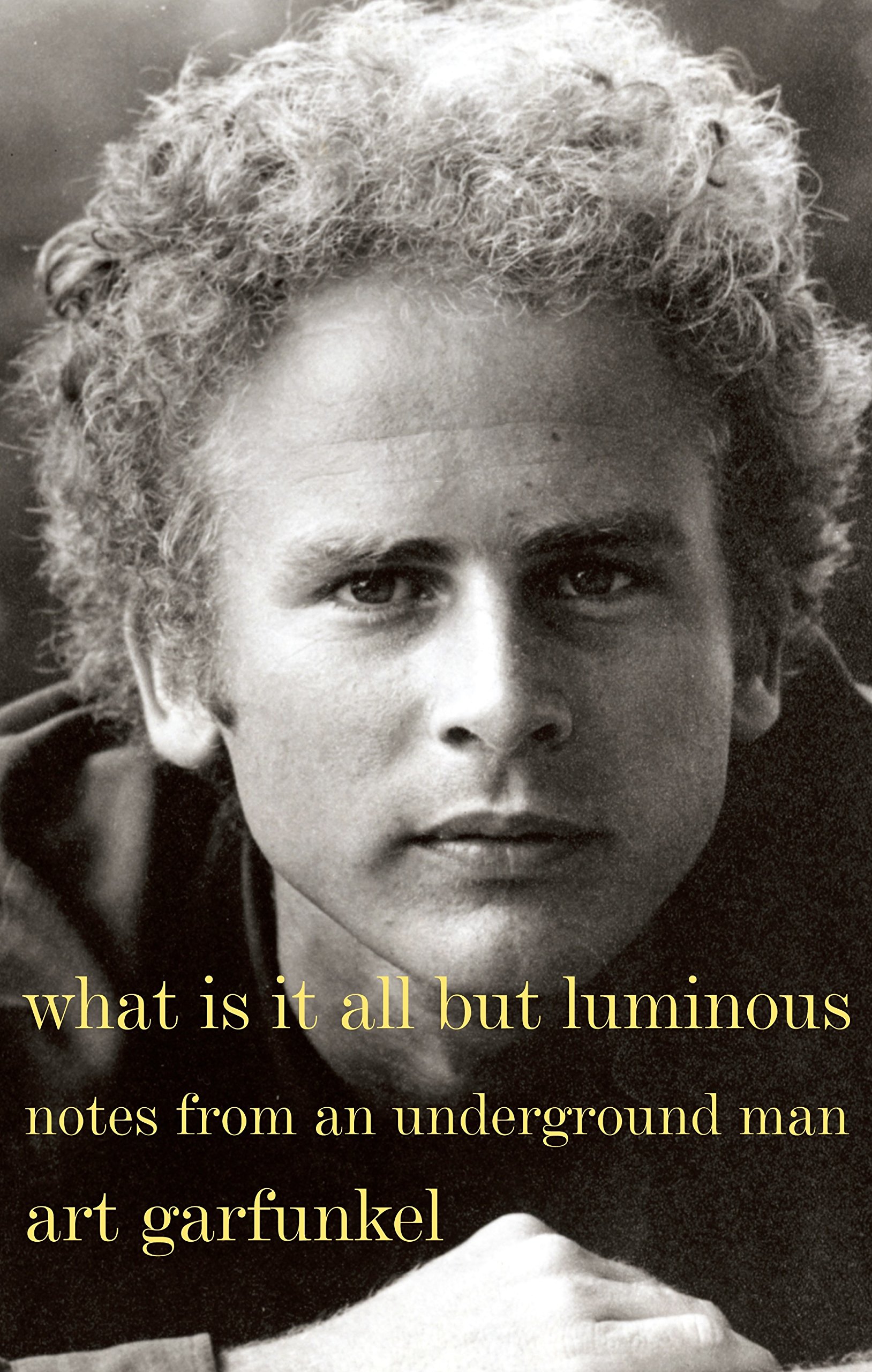 What Is It All But Luminous | Art Garfunkel