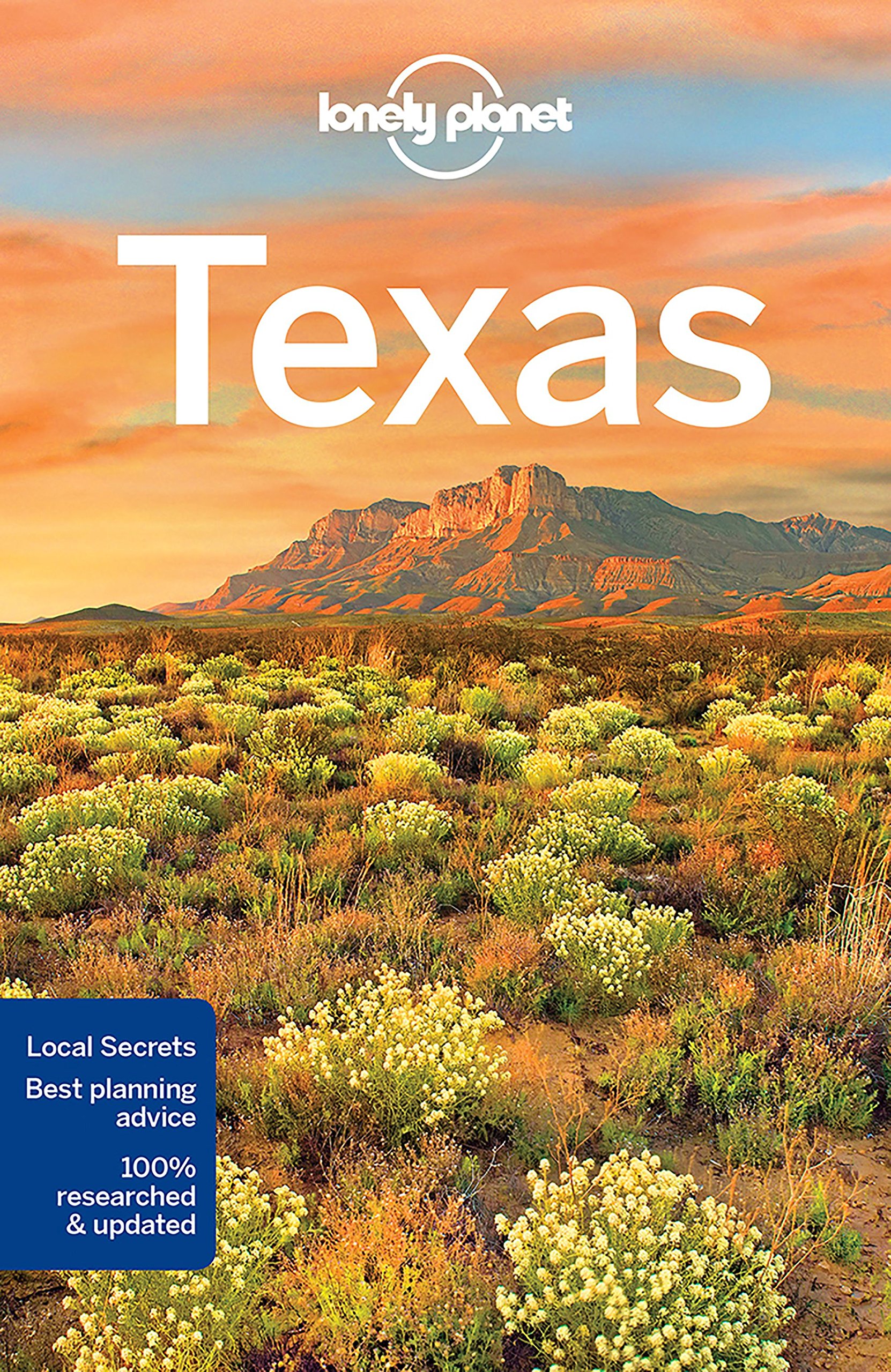 Lonely Planet Texas | Lonely Planet