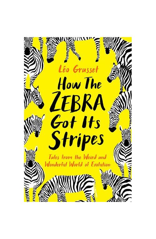 How the Zebra Got its Stripes | Leo Grasset