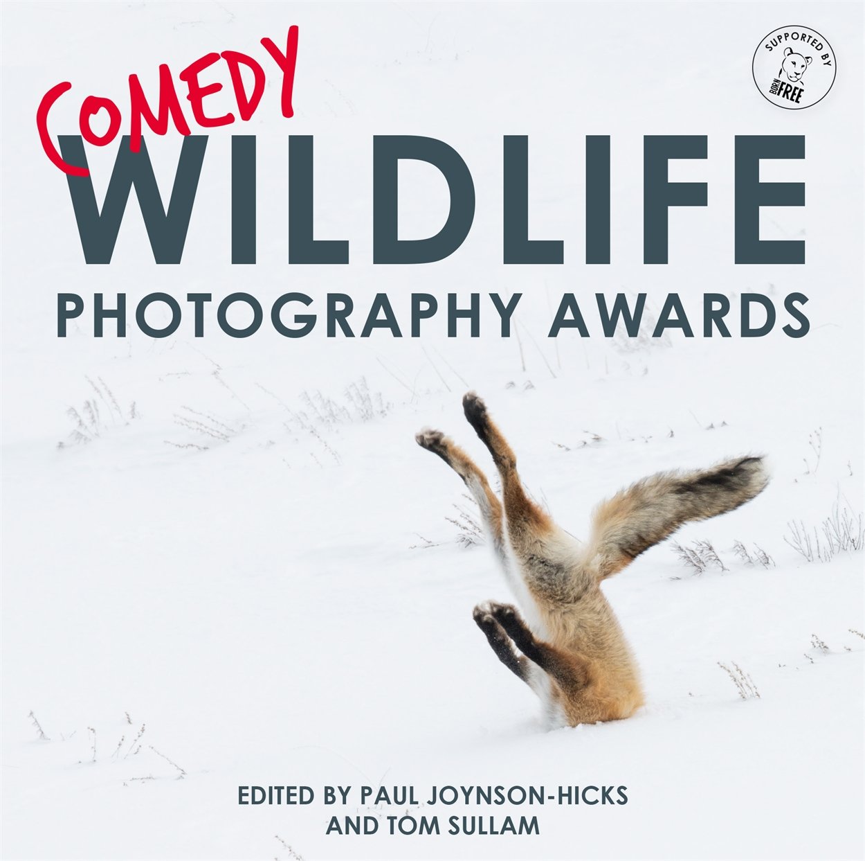 Comedy Wildlife Photography Awards | Paul Joynson-Hicks