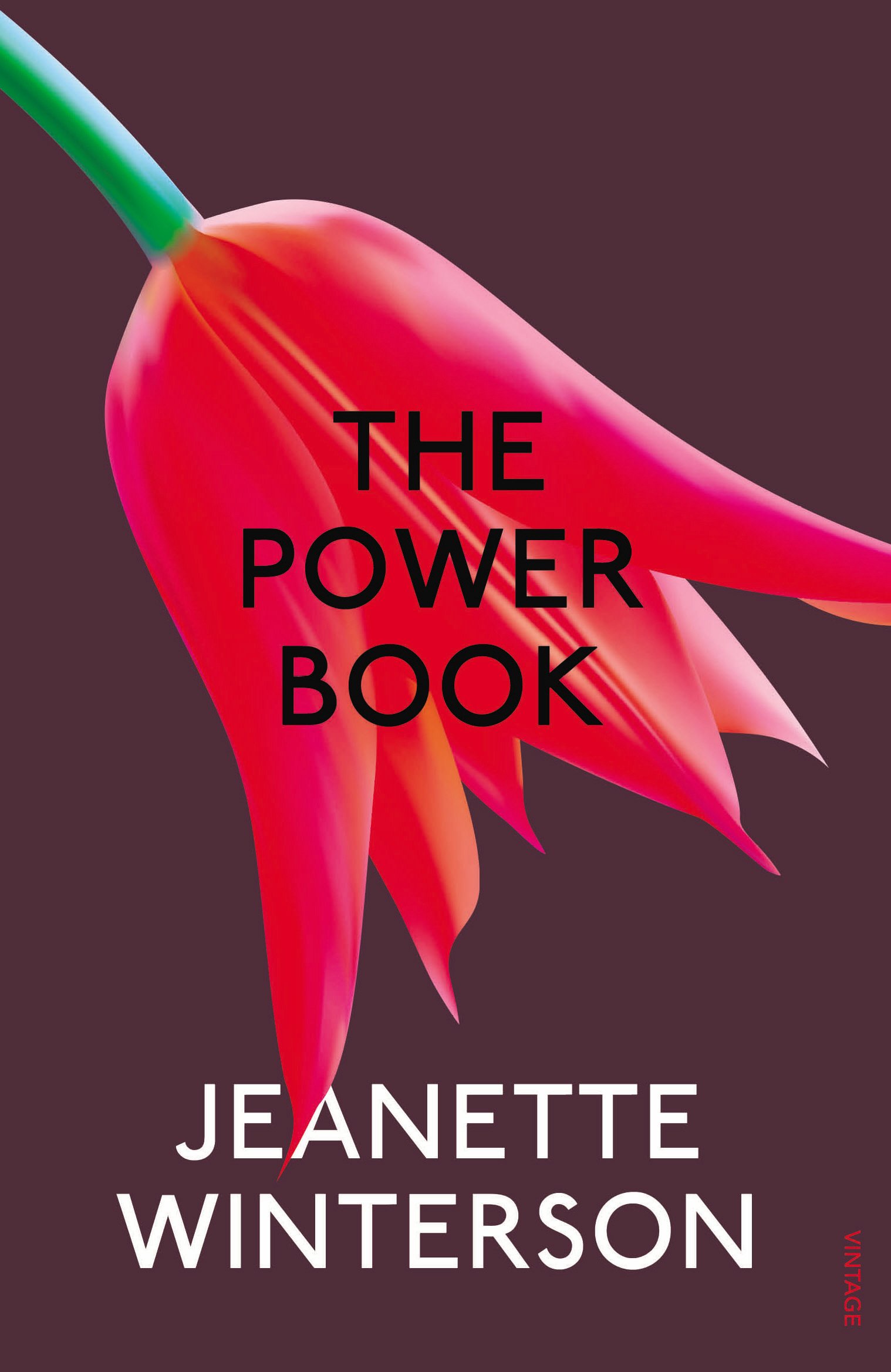 Vezi detalii pentru The Powerbook | Jeanette Winterson