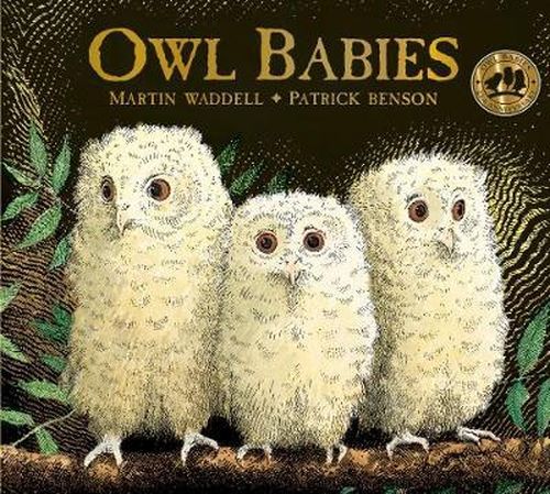 Owl Babies | Martin Waddell