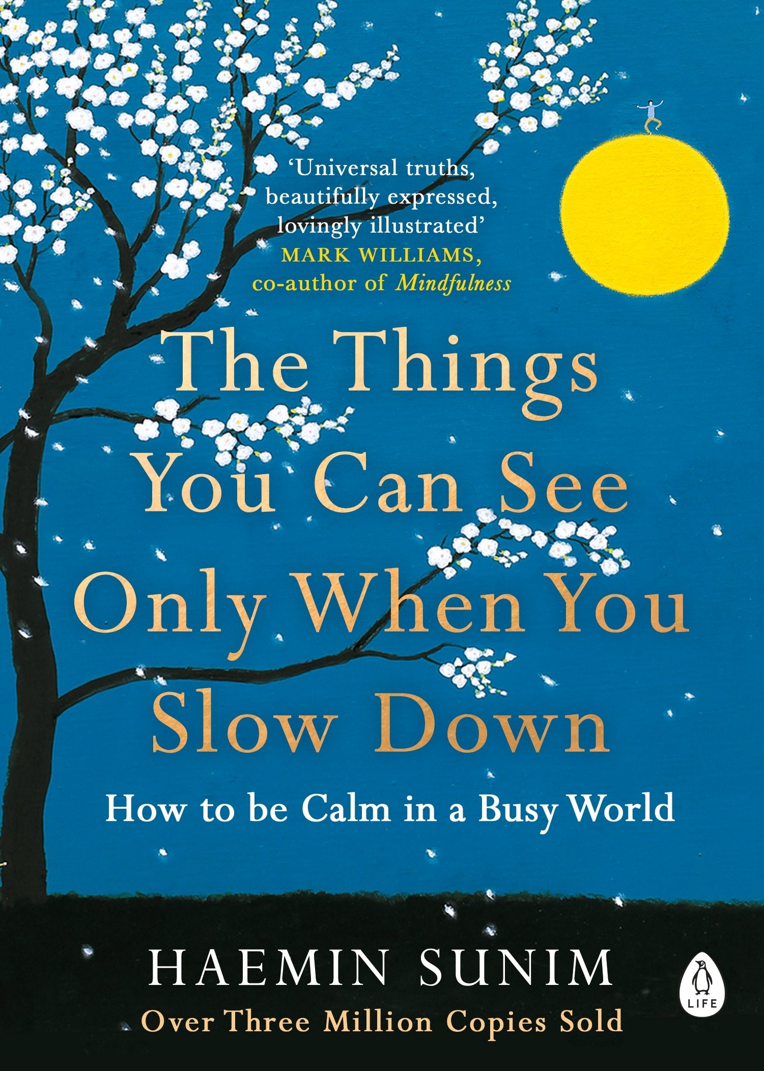 The Things You Can See Only When You Slow Down | Haemin Sunim , Haemin Sunim