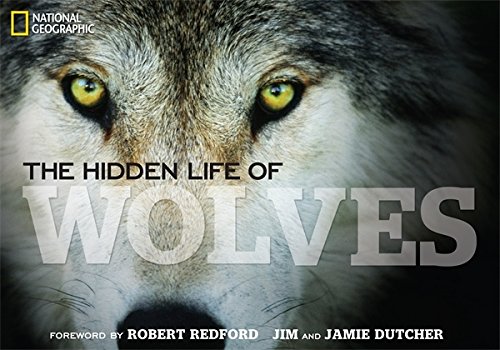 The Hidden Life of Wolves | Jim Dutcher