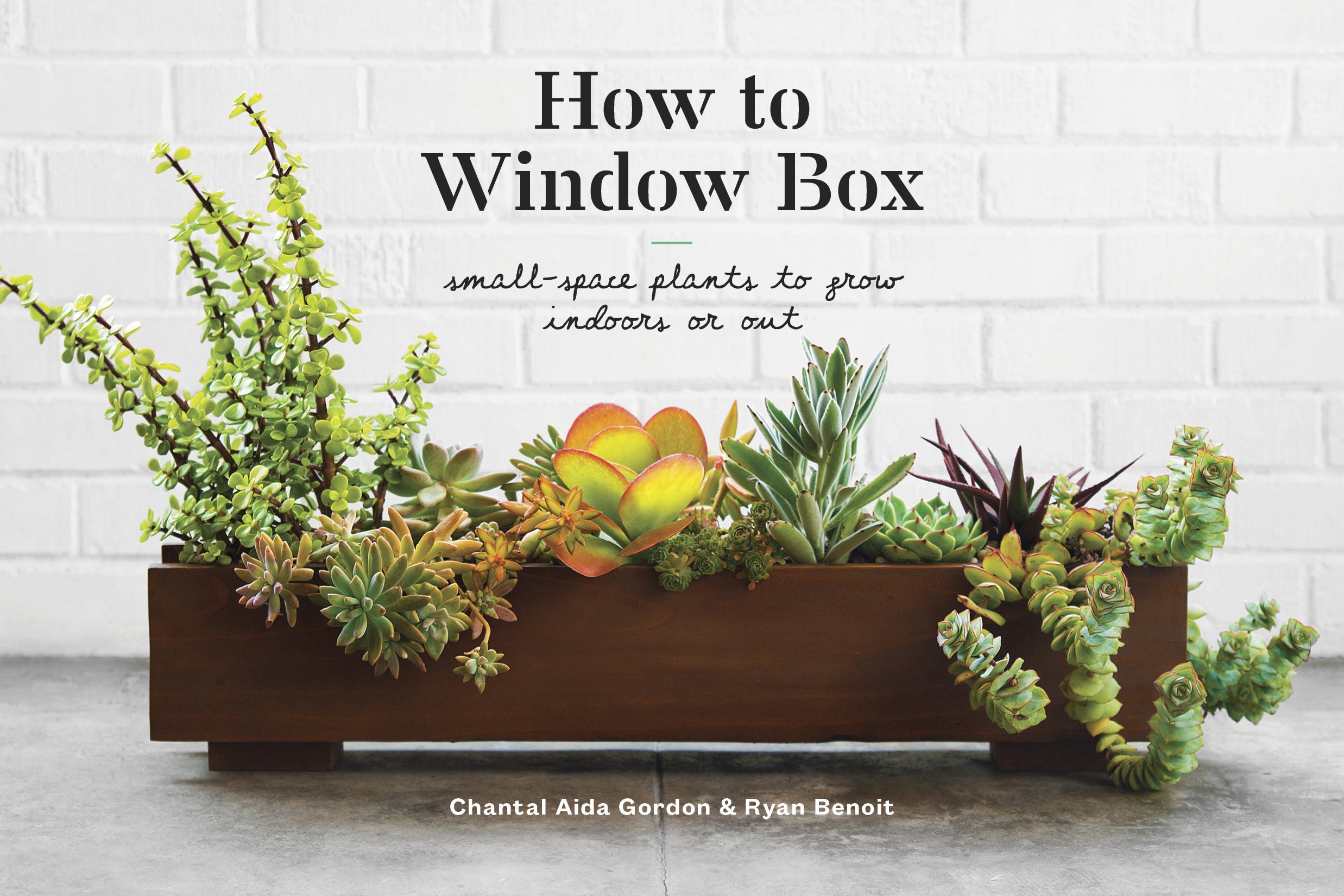 How To Window Box | Chantal Aida Gordon