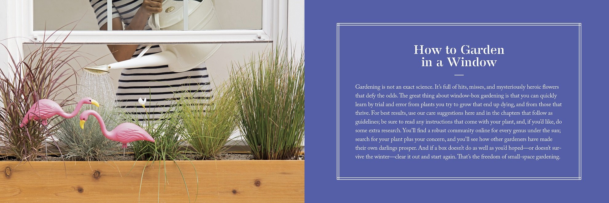 How To Window Box | Chantal Aida Gordon - 2 | YEO