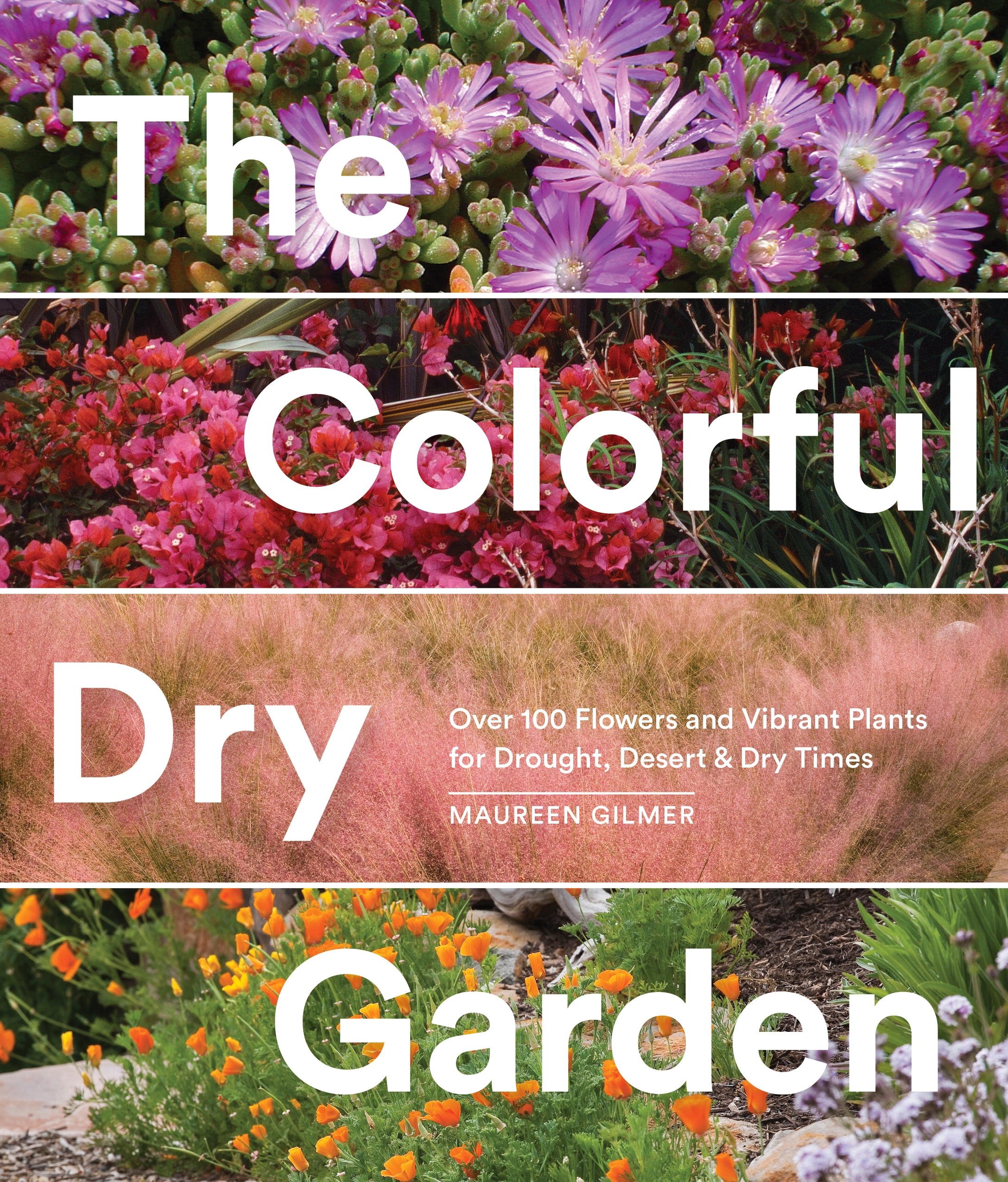 The Colorful Dry Garden | Maureen Gilmer