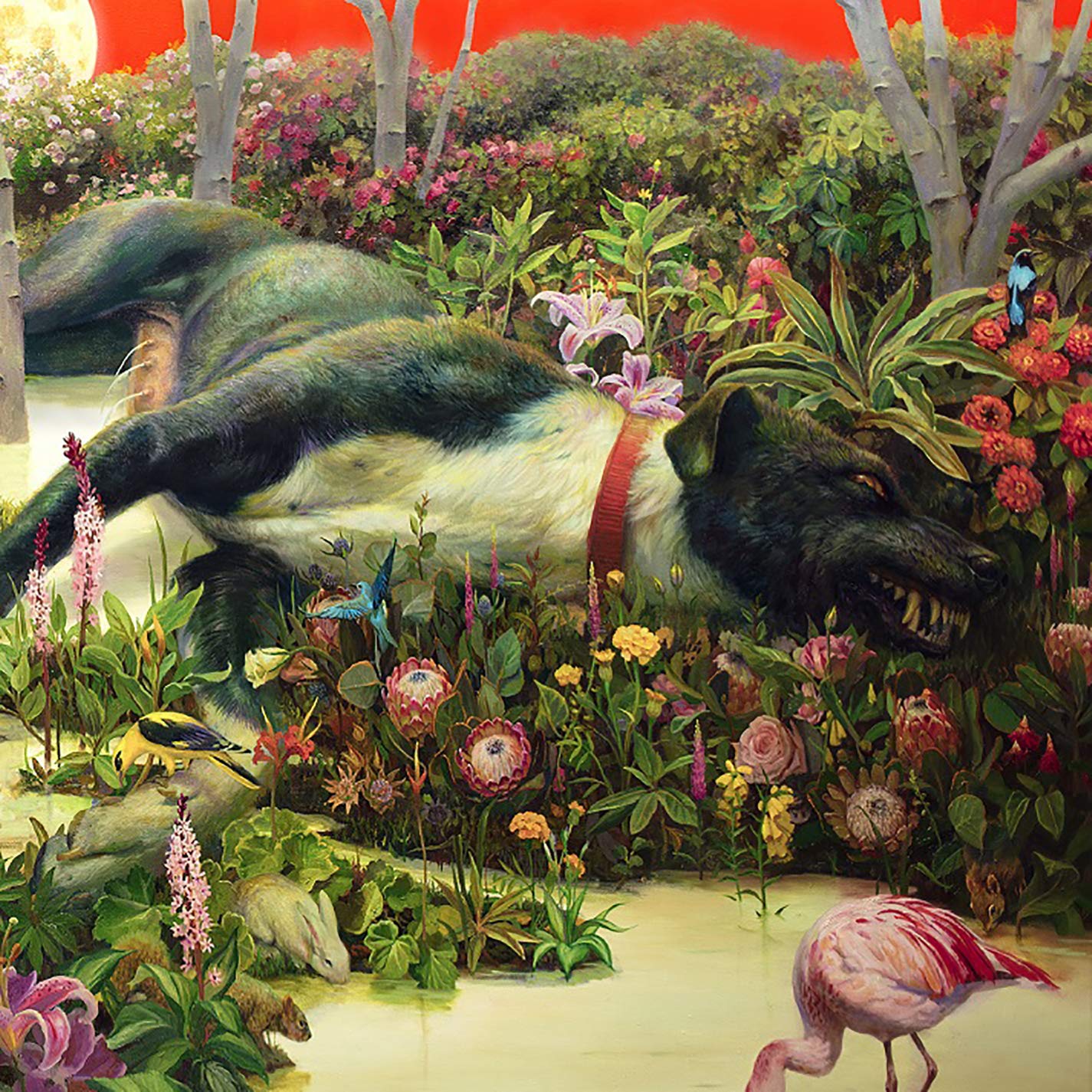 Feral Roots | Rival Sons