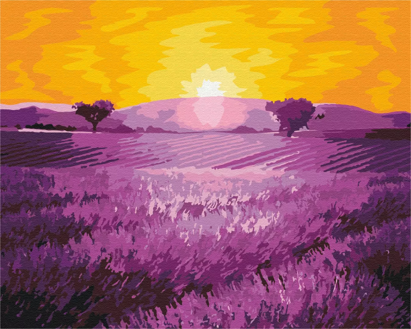 Set pictura pe numere - Sunrise over lavender