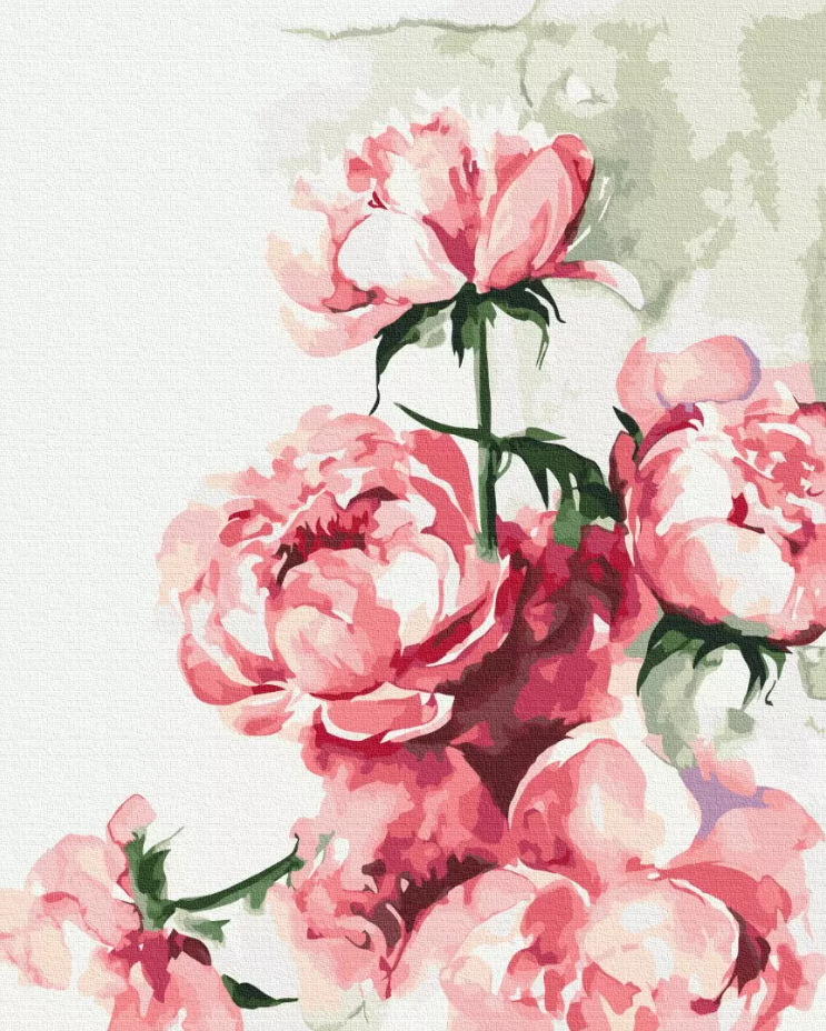 Set pictura pe numere - Karolina Bundash - Watercolor peonies