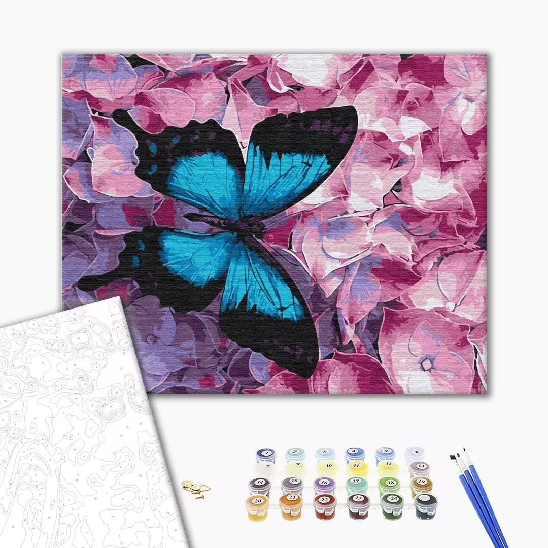 Set pictura pe numere - Butterfly on flowers | Brushme