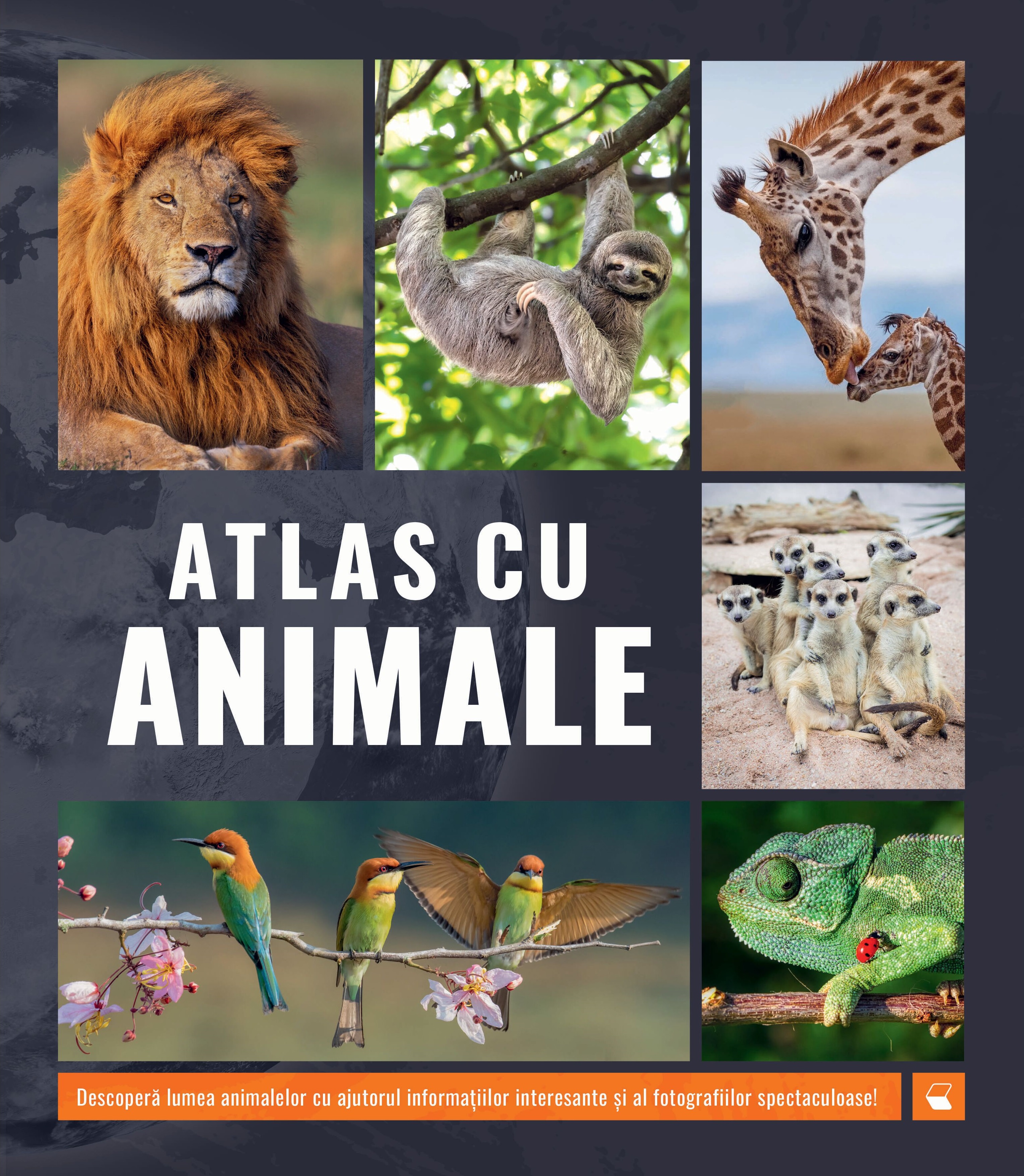 Atlas cu animale