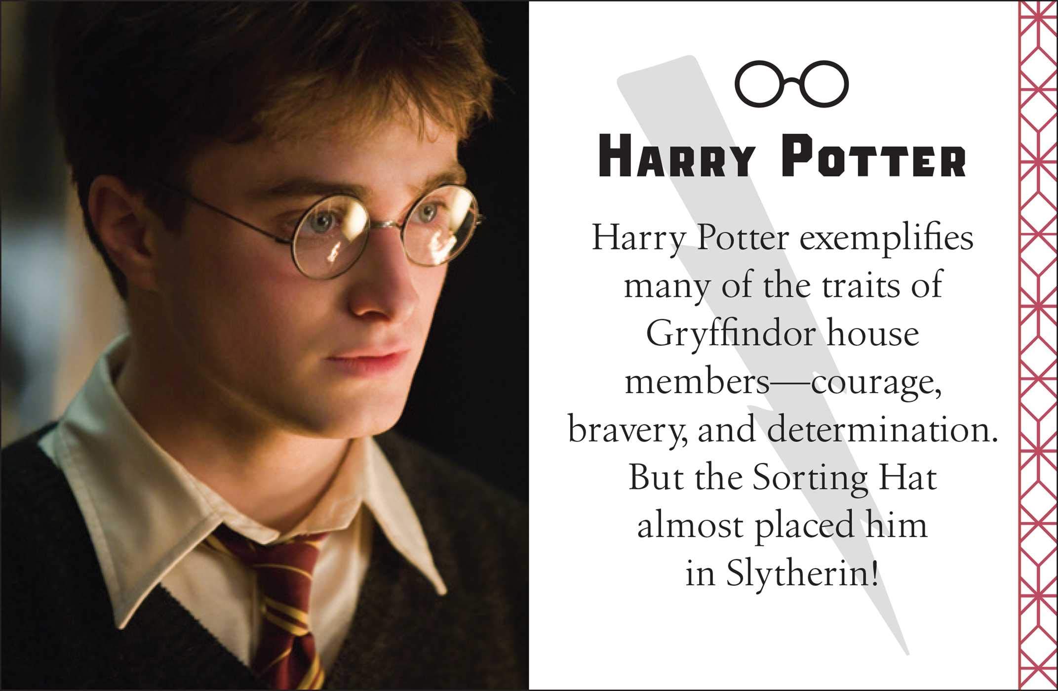 Harry Potter: Gryffindor | Insight Editions - 3 | YEO