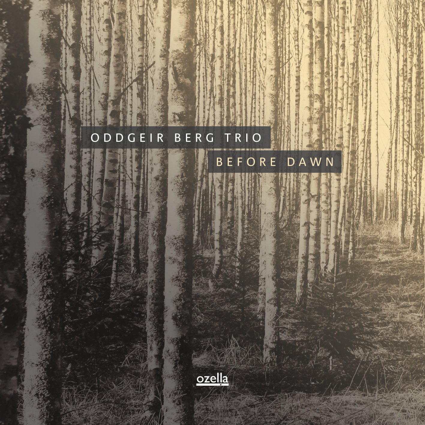 Before Dawn | Oddgeir Berg Trio - 1 | YEO