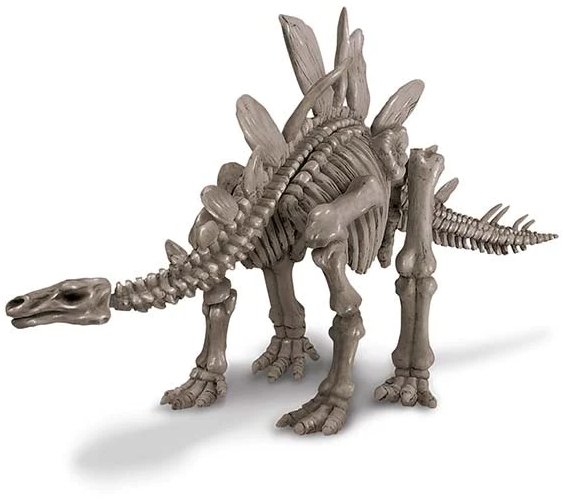 Set de joaca - Sapa si descopera dinozauri - Stegosaurus | 4M - 1