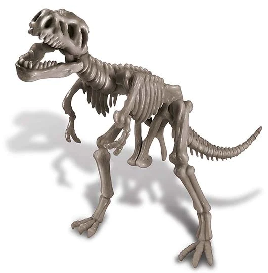 Set de joaca - Sapa si descopera dinozauri - Tyrannosaurus Rex | 4M