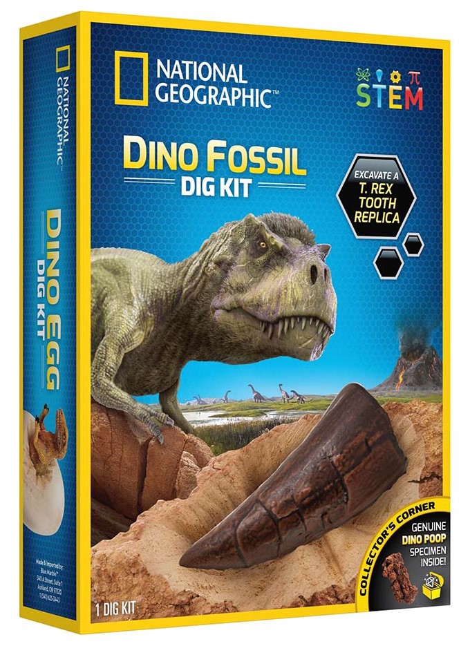 Kit educativ - Sa cautam dinozauri | Blue Marble