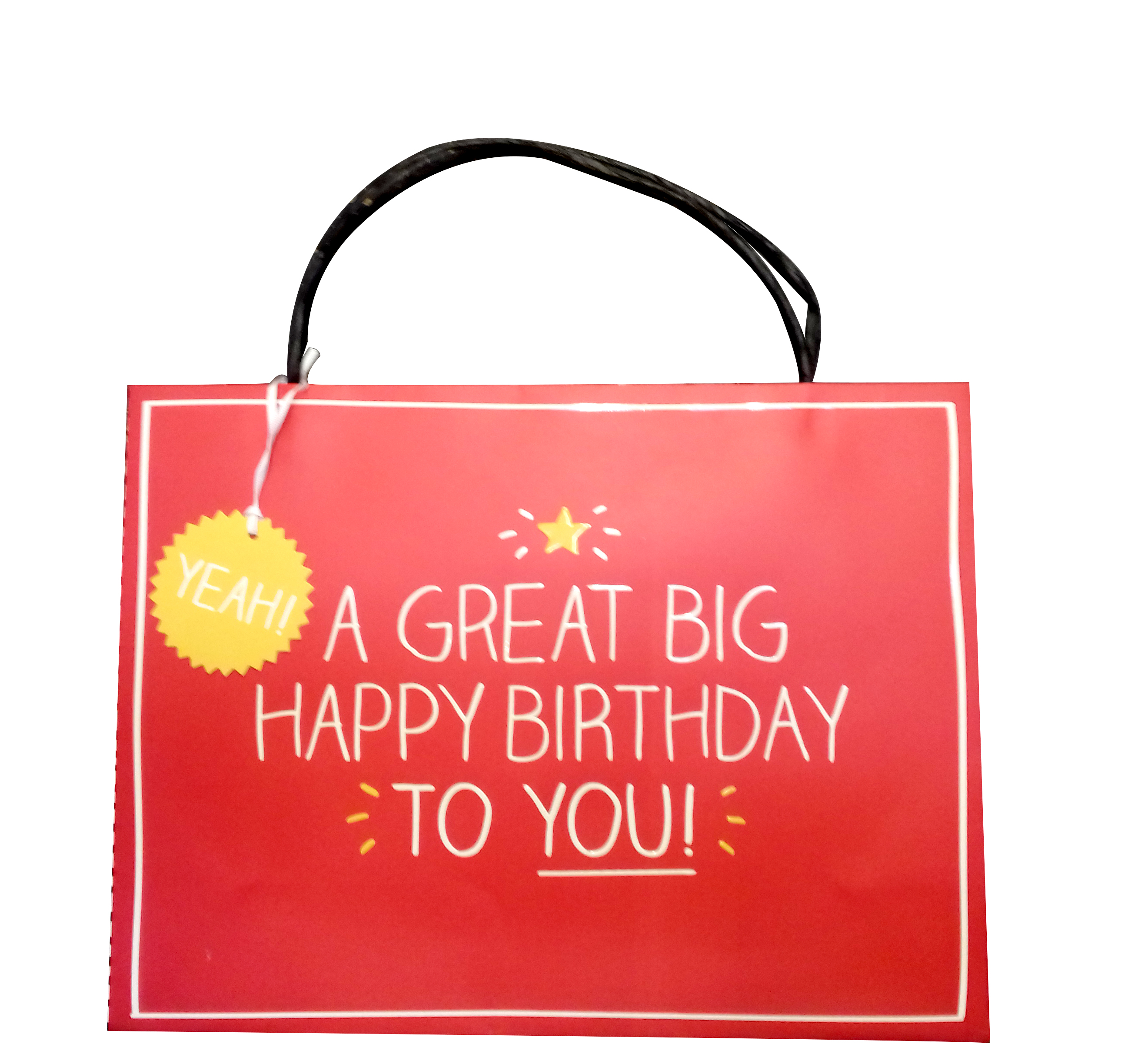 Punga pentru cadou - Have a great birthday | Swan Mill Paper