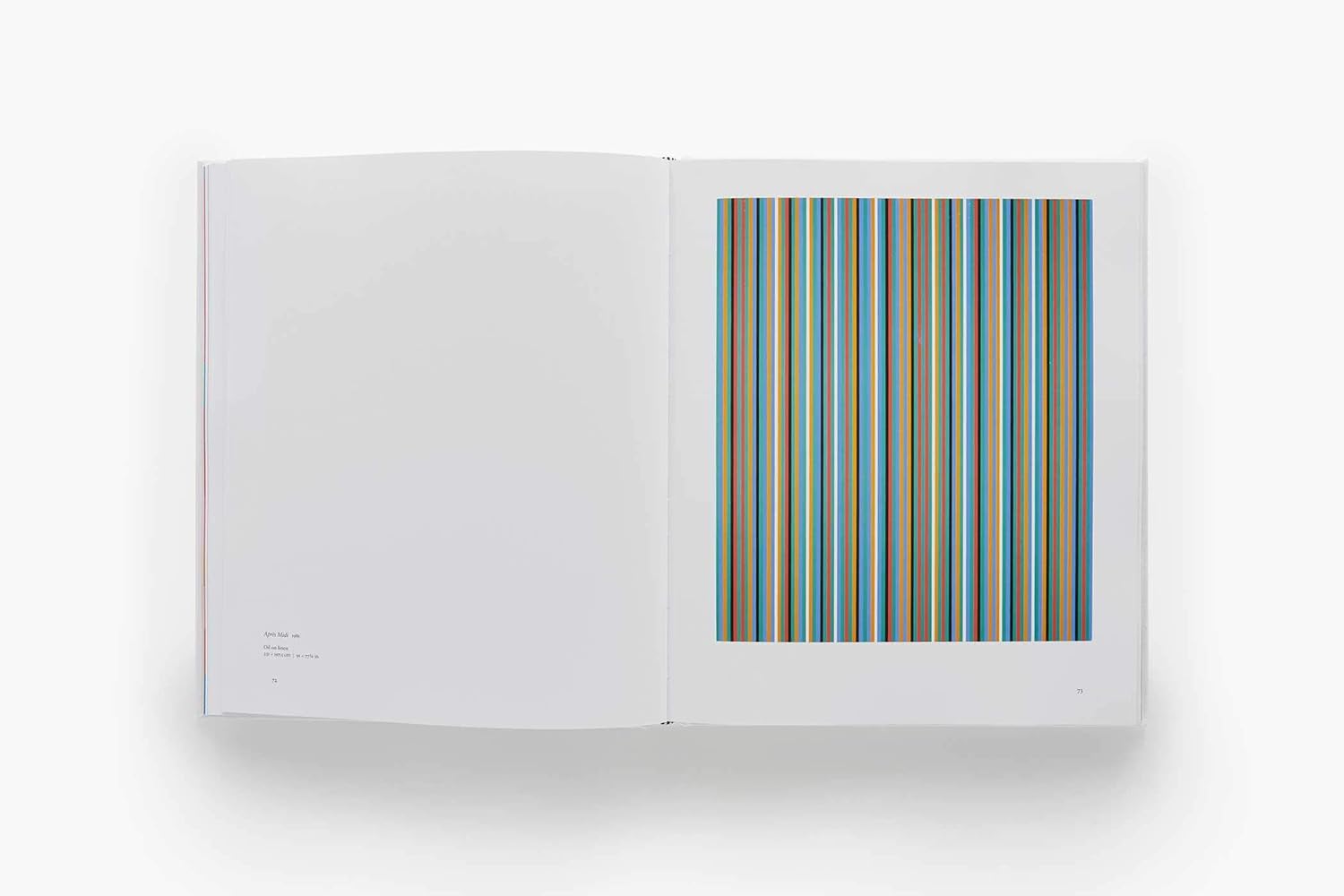 Bridget Riley | Paul Moorhouse, Richard Shiff - 9 | YEO