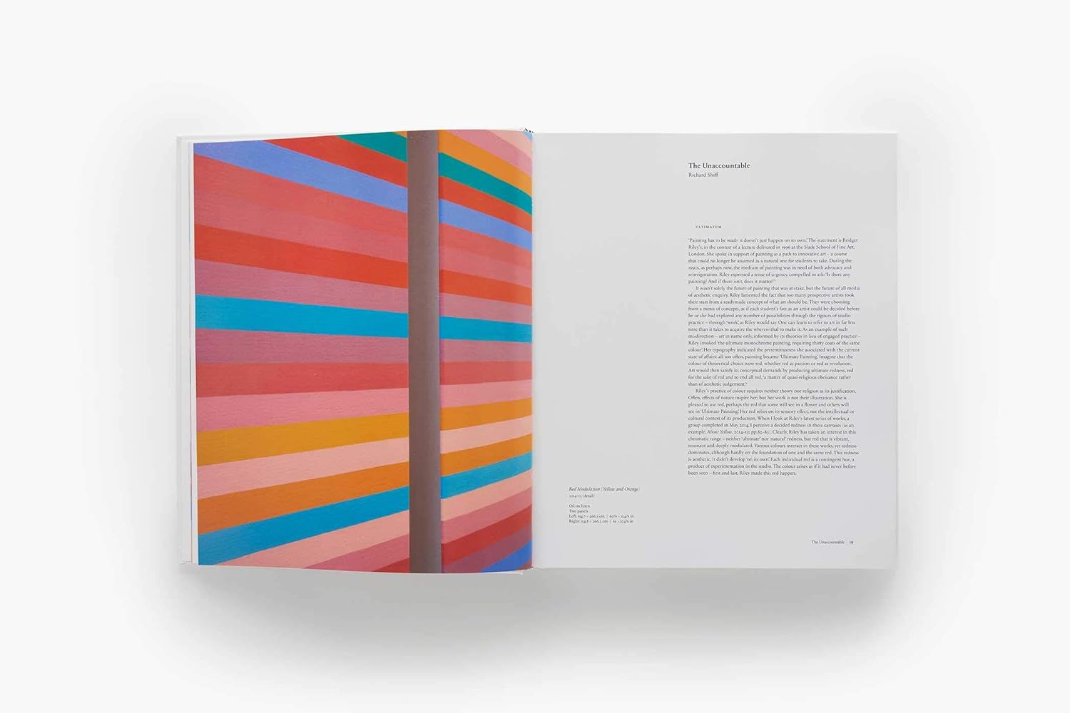 Bridget Riley | Paul Moorhouse, Richard Shiff - 5 | YEO