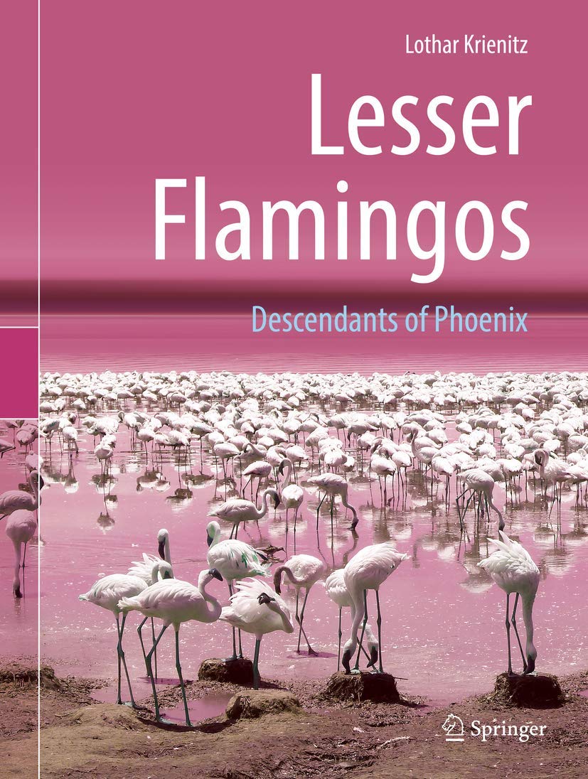 Lesser Flamingos | Lothar Krienitz