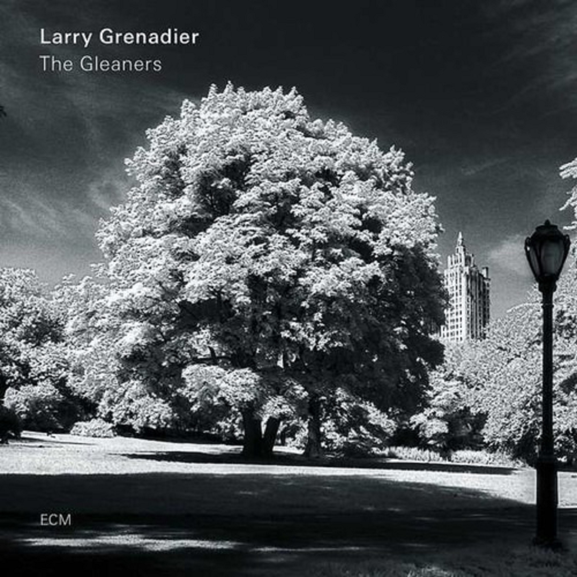 The Gleaners | Larry Grenadier