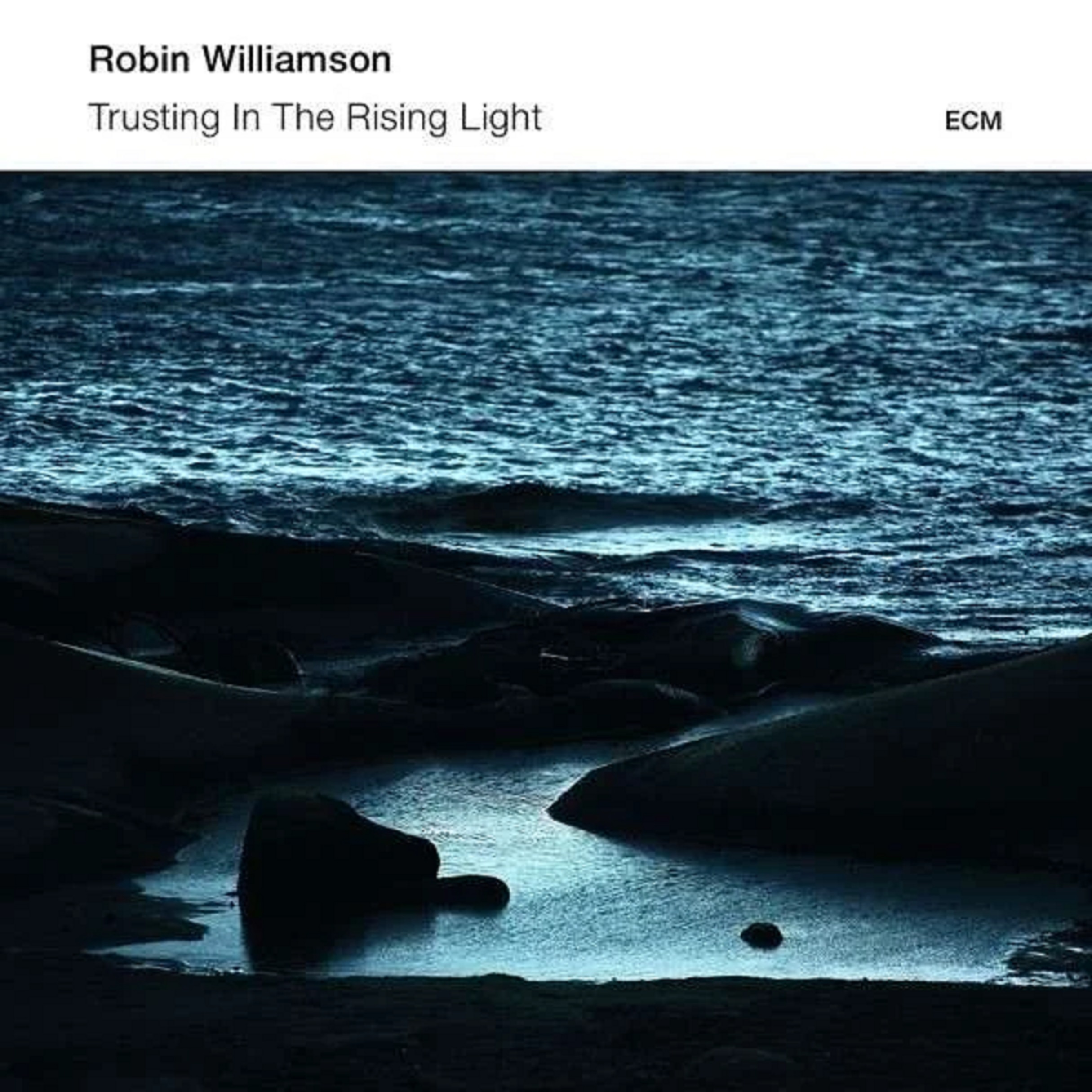 Trusting in the rising light | Robin Williamson