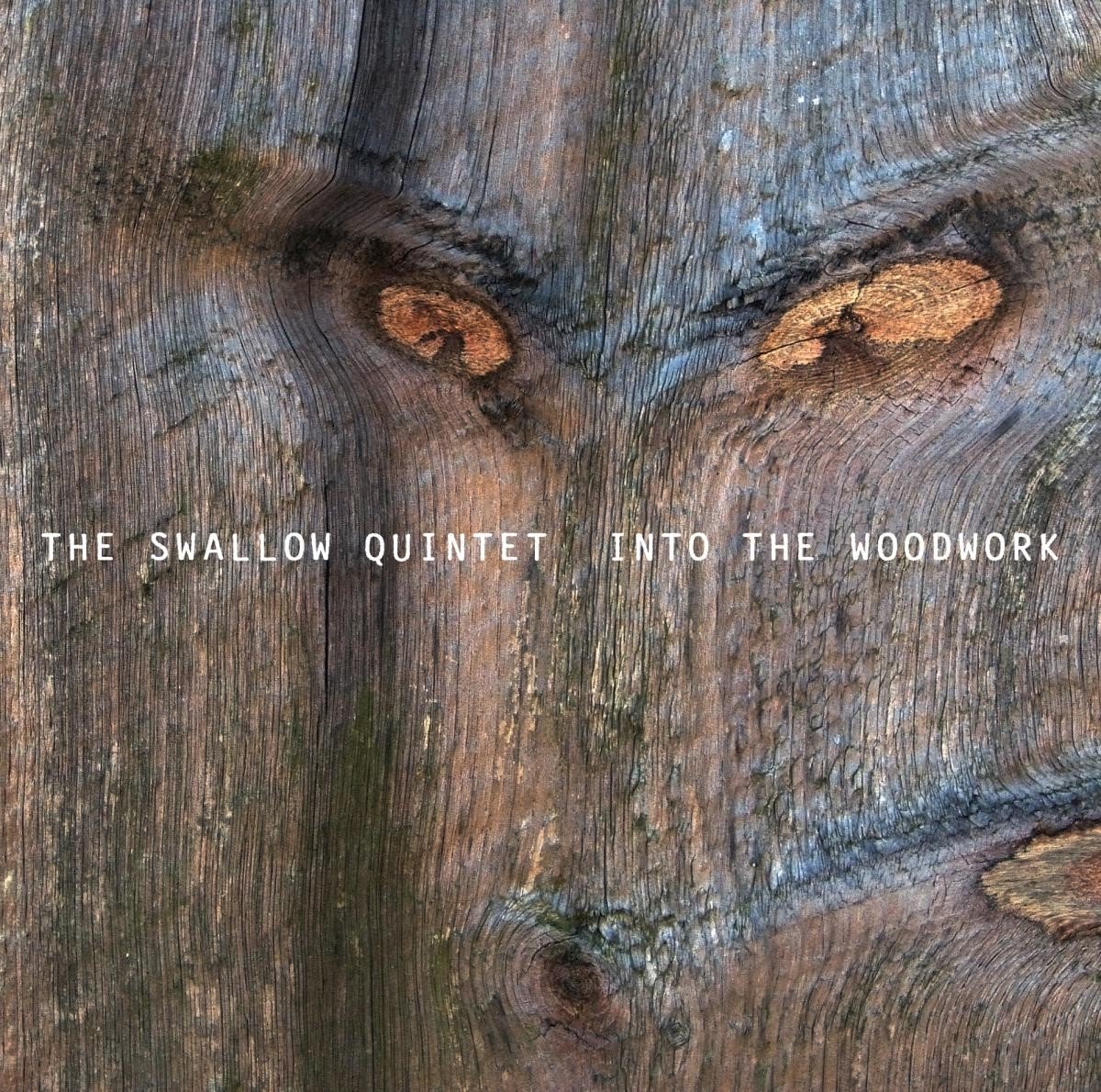 Into the Woodwork | Steve Swallow Quintet