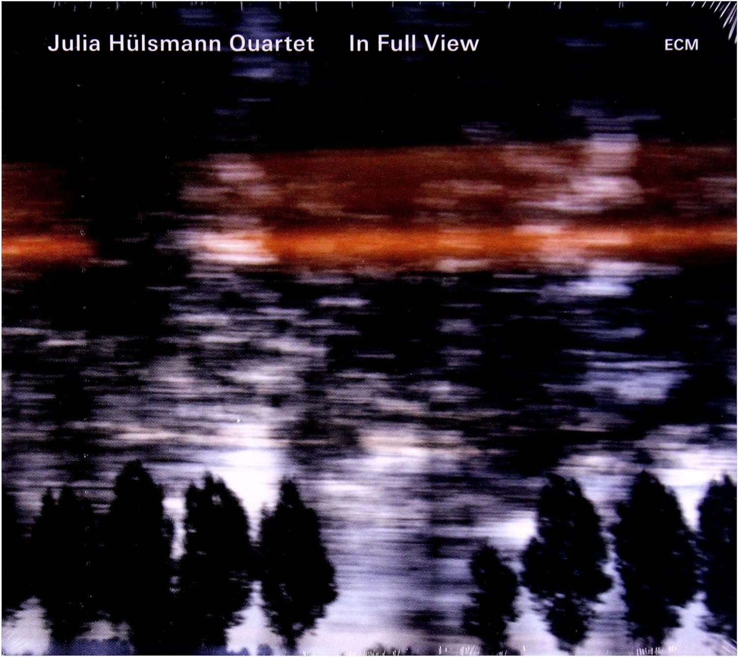 In Full View | Julia Hulsmann Quartet