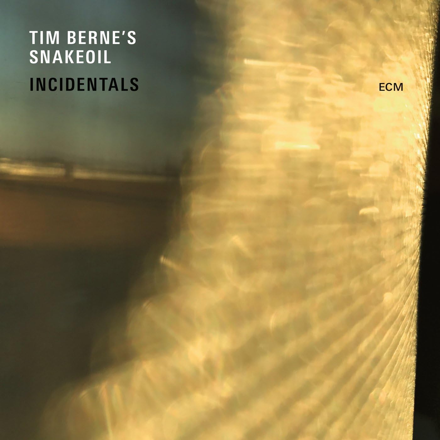 Incidentals | Tim Berne\'s Snakeoil
